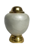 Mini-Pote-102